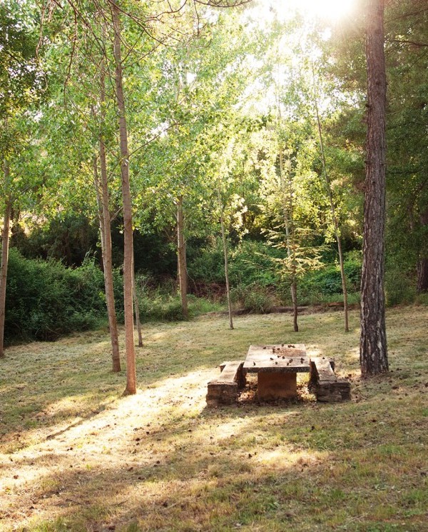 Bosque Casa Miralles